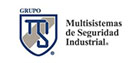 Multiservicios de Seguridad